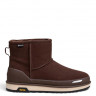 Ugg Mens Classic Mini Guard Gtx Boot Chocolate
