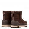 Ugg Mens Classic Mini Guard Gtx Boot Chocolate
