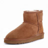 Ugg Men'S Classic Mini II Chestnut