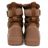 Ugg Mens Classic Short Pull-On - Chestnut