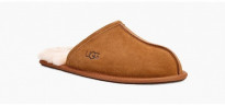Ugg Men Scuff - Chestnut