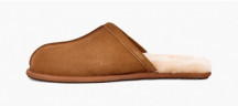 Ugg Men Scuff - Chestnut
