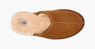 Ugg Men Scuff - Chestnut