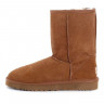 Ugg Classic Short II Chestnut