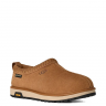 Ugg Mens Tasman Slipper Gtx Chestnut